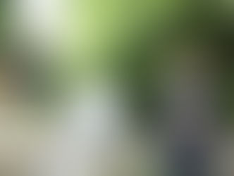 お誕生日の記念に☆