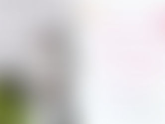 リピーターのお客様✿