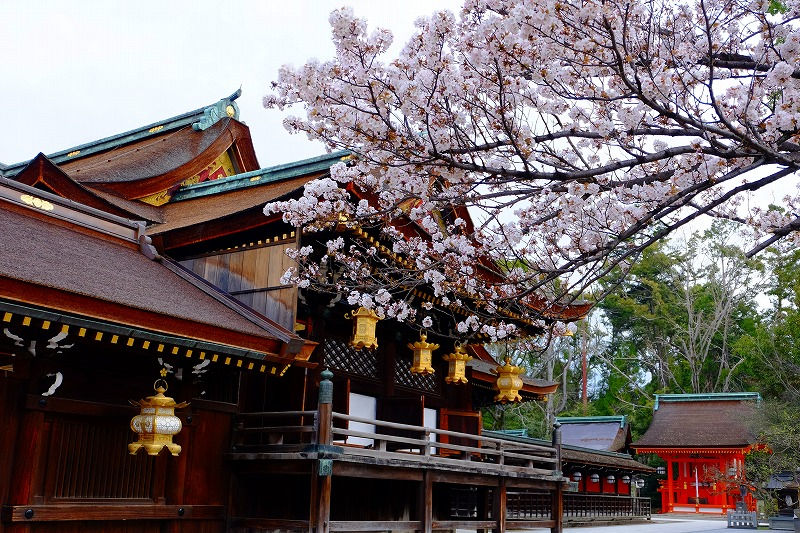 北野天満宮　春