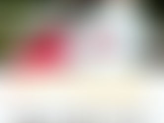 上品な着物美人(*^ ^*)