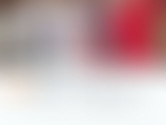 姉妹で成人のお祝い✿