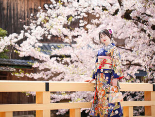 桜咲くお着物撮影♪❀*