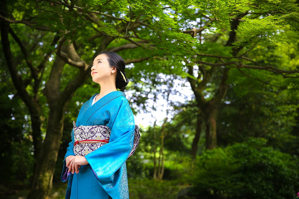 ロケーションパッケージ 春