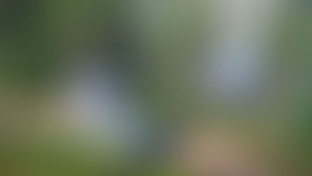 Wild Camping infront of the Sweden's lake