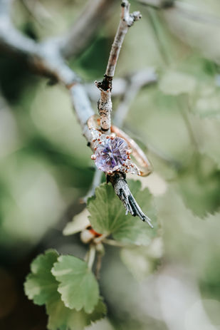 engagement ring with lavender stone with nature background