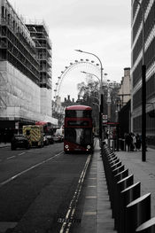 DSC_2982.JPG