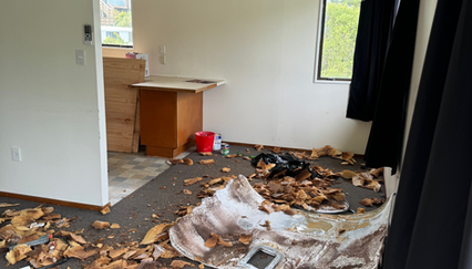 Home renovation Wellington Building Company