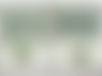 Creating Calm at Home – Designing Spaces That Actually Help You Unwind