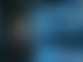 La Paura della Nicchia