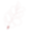 catalogo paes-09.png