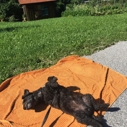 "Sammy, Could You Please Scoot Over?!"