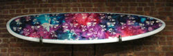 Surfboards by Chris Birch