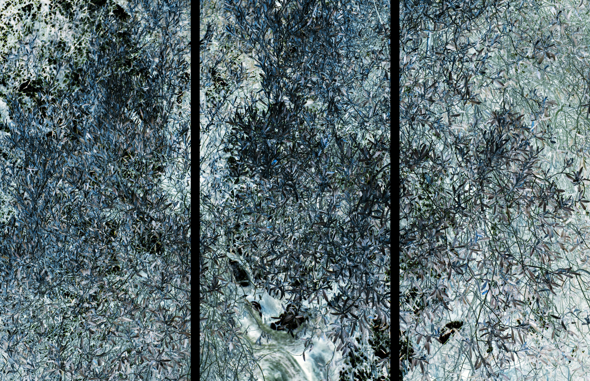MONDO FLUTTUANTE, TERRA INCOGNITA, GIORGIO MAJNO