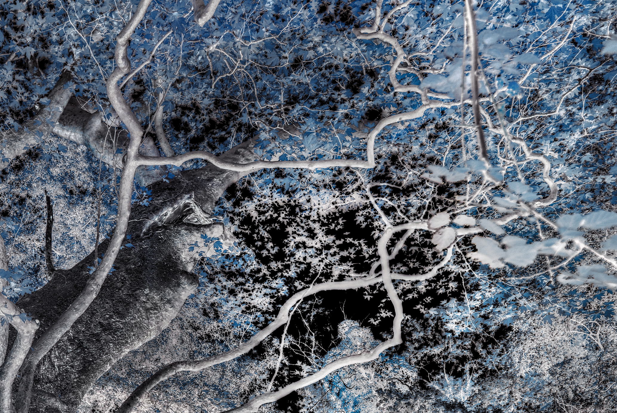 AL LIMITARE 3, TERRA INCOGNITA, GIORGIO MAJNO