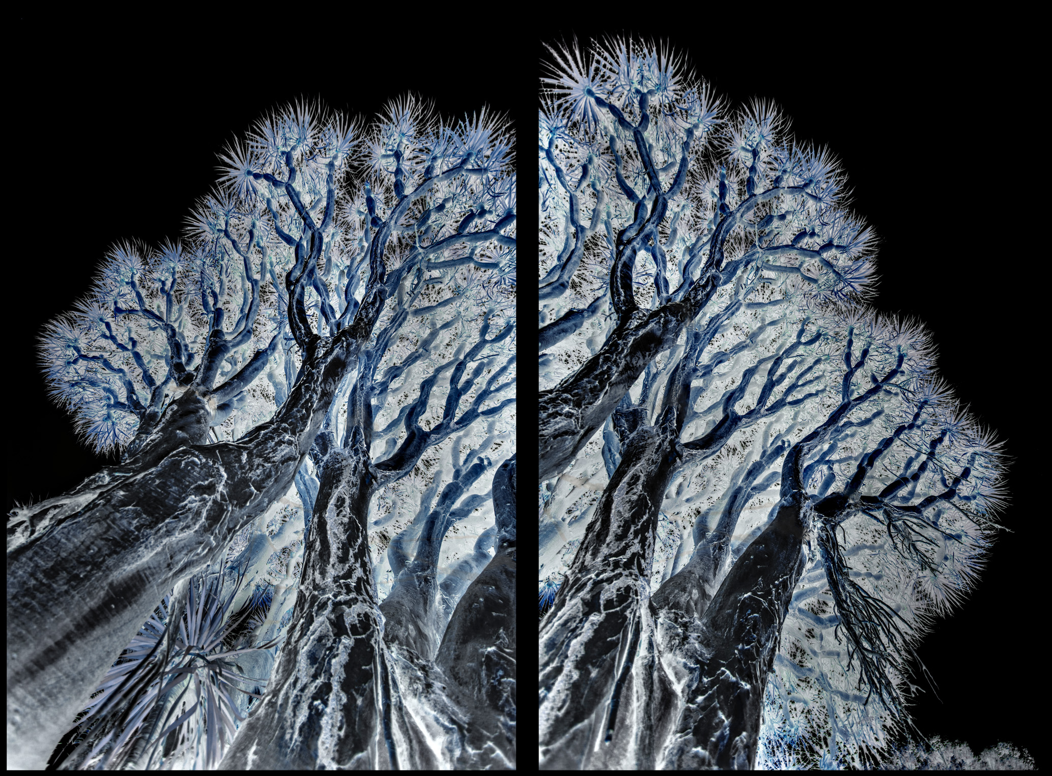 METAMORFOSI 1, TERRA INCOGNITA, GIORGIO MAJNO