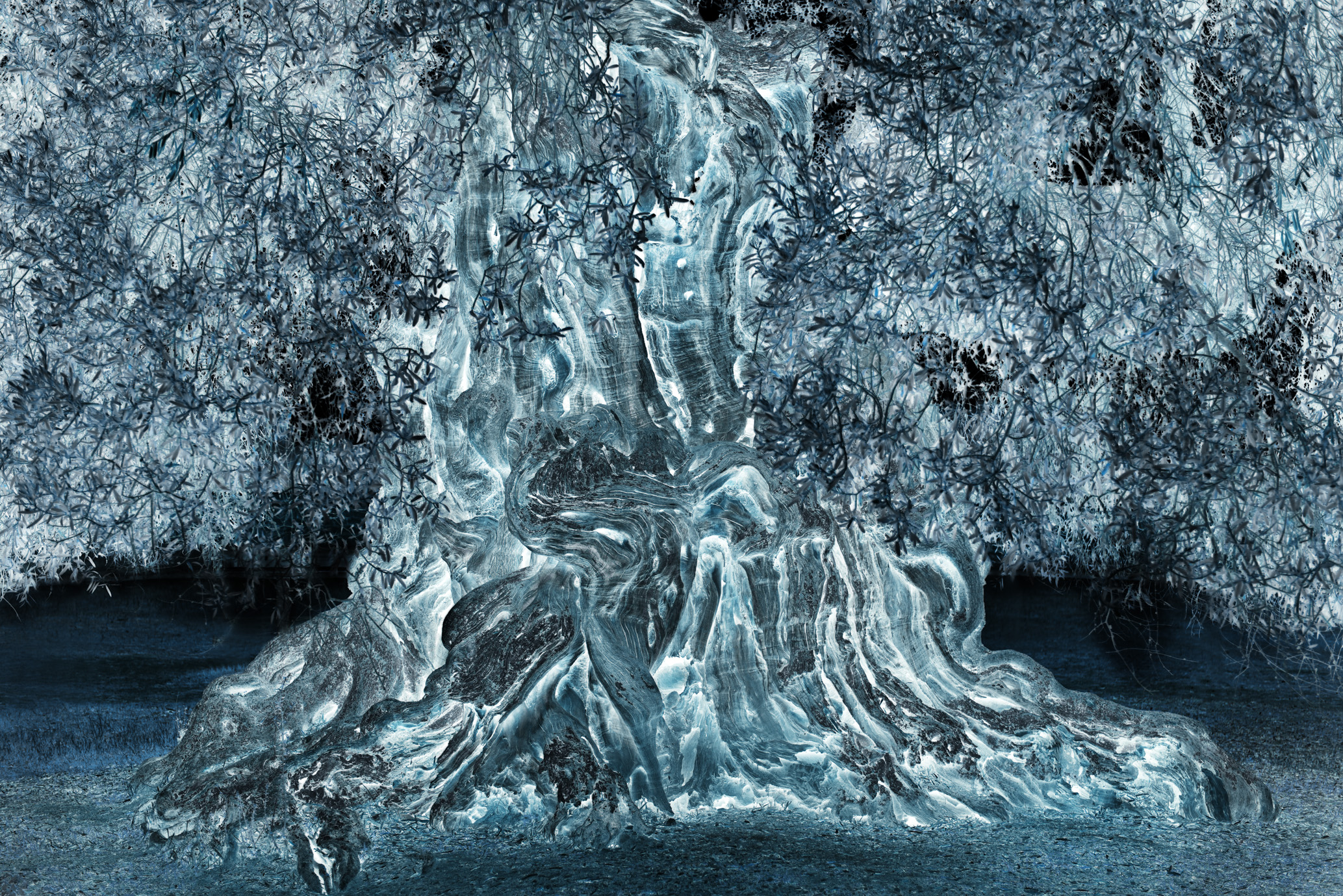 TRASPARENZE 2, TERRA INCOGNITA, GIORGIO MAJNO