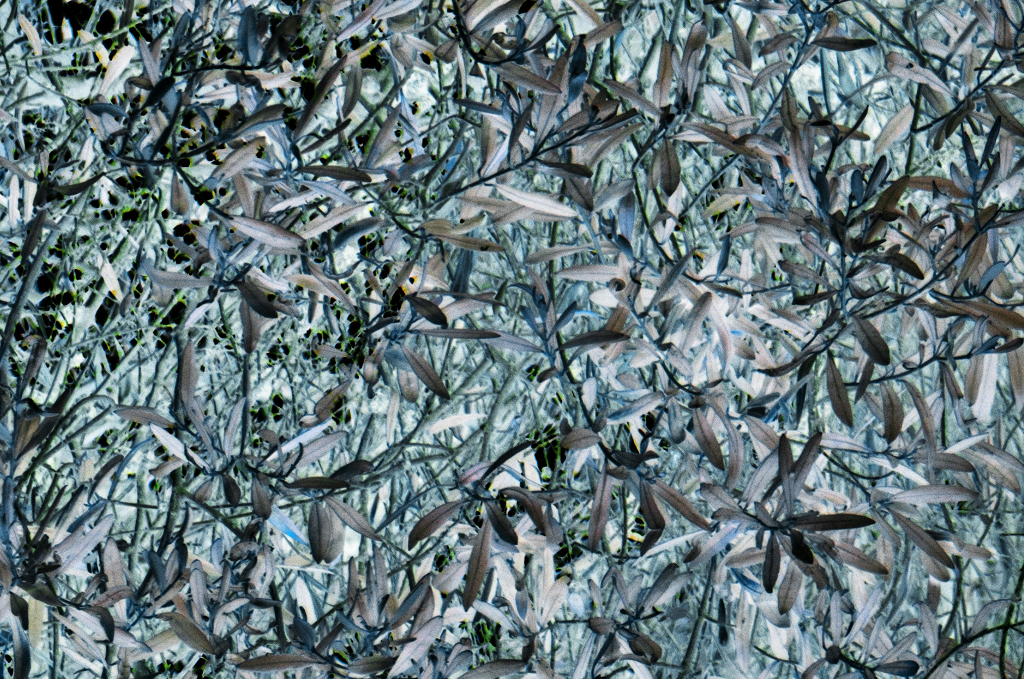 MONDO FLUTTUANTE 6, TERRA INCOGNITA, GIORGIO MAJNO