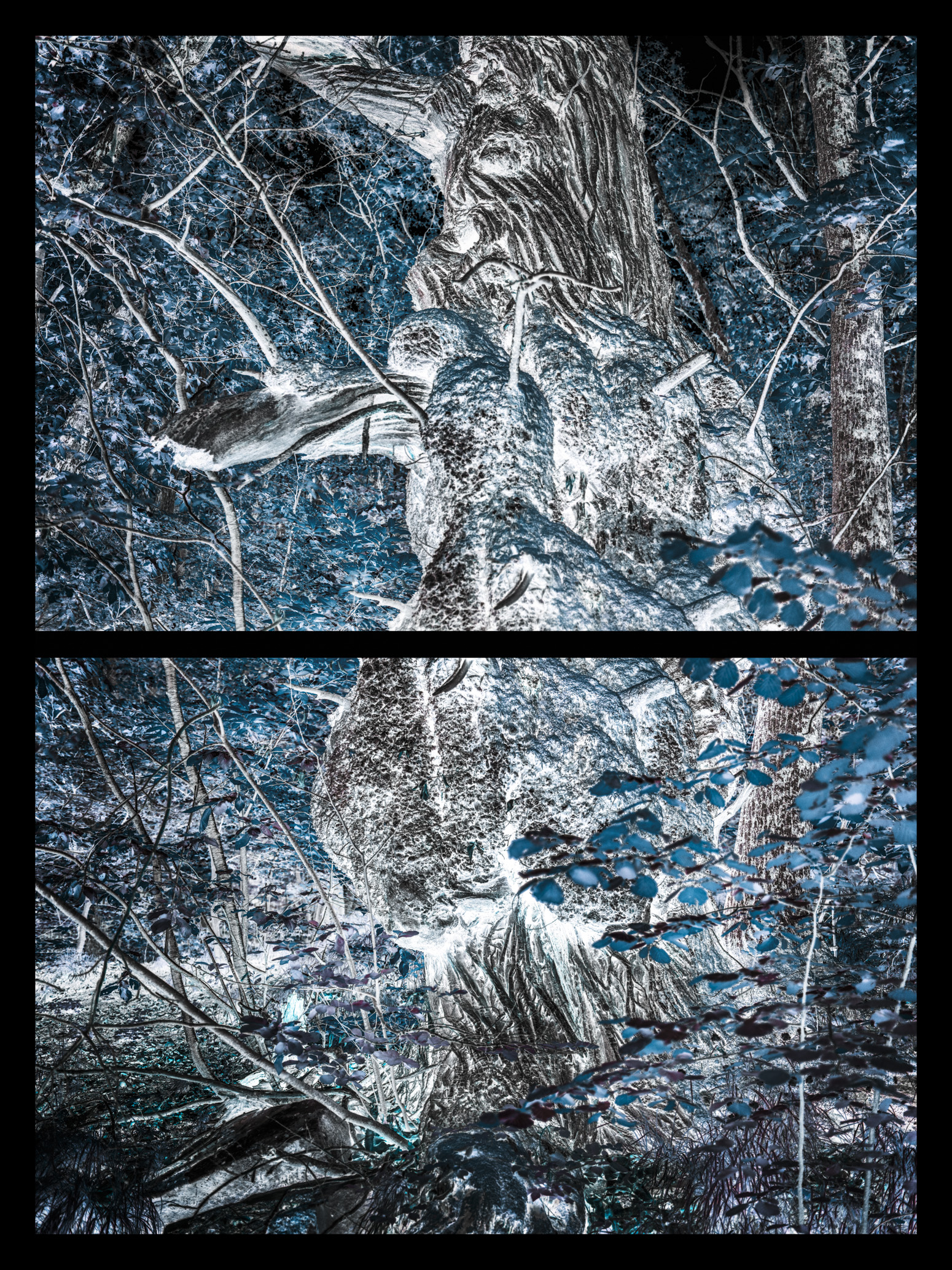 METAMORFOSI 4, TERRA INCOGNITA, GIORGIO MAJNO