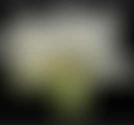 It feels a bit awkward but it’s also blossoming