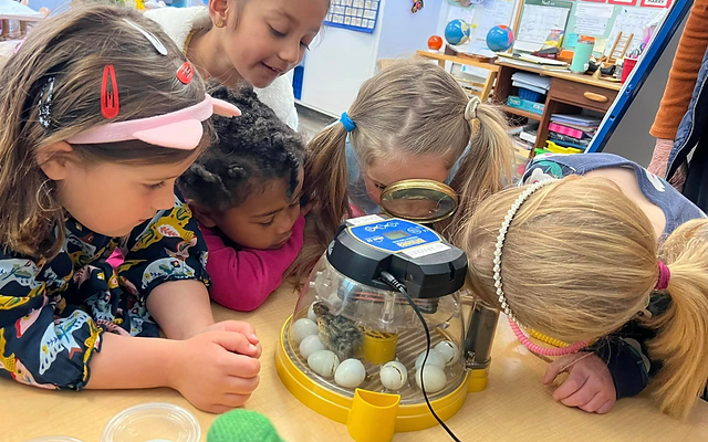 Primary Program | Marin Horizon School