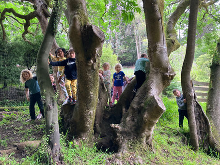 Kindergarten Overnight: Our Youngest Campers Take Their First Big Step into Outdoor Education