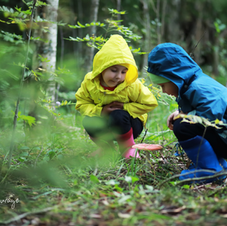formation immerSive en éducation par la nature pour enSeignante et éducatrice