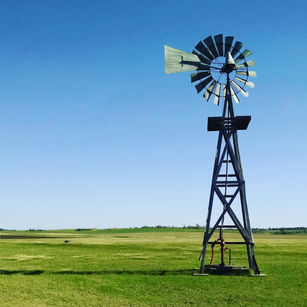 Almanzo: Farmer Boy to Farmer Man