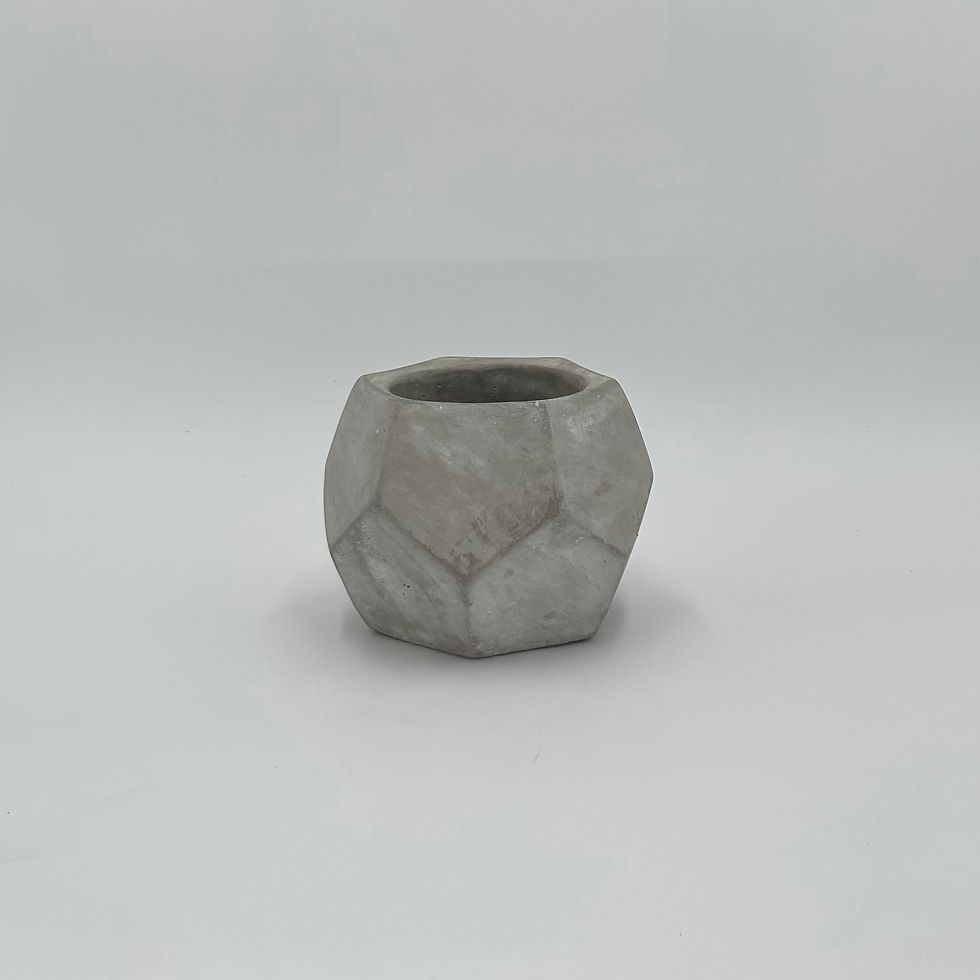 Thumbnail: 화분 Y