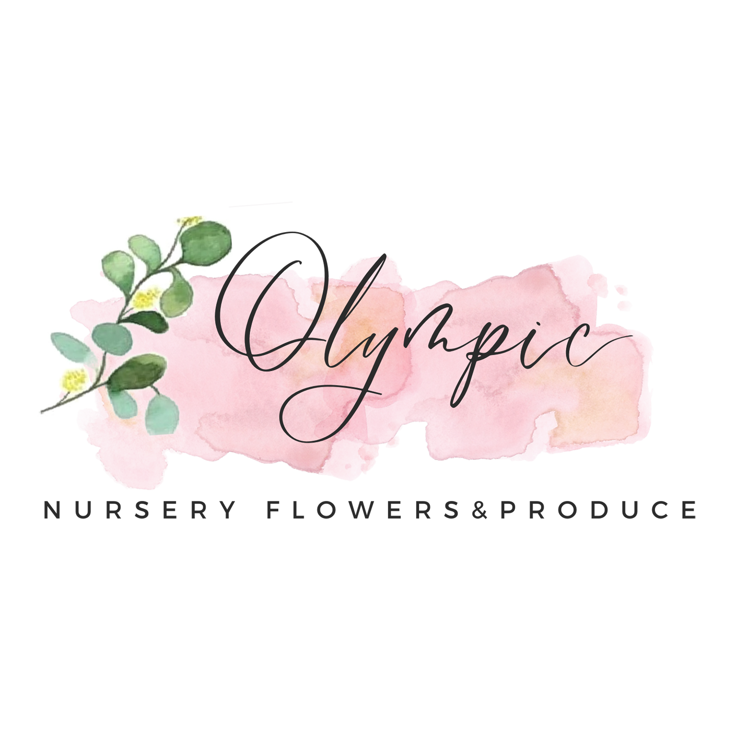Olympic Nursery Flowers & Produce logo