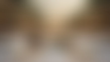 Dusit Thani Abu Dhabi brings back it's Harry Potter themed Brunch in September