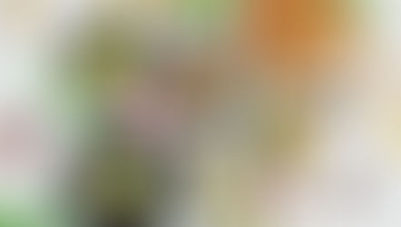 New vegan dishes on the menu at Four Seasons Abu Dhabi