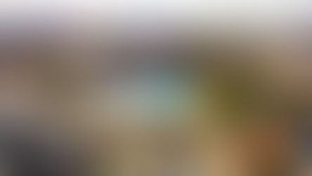 Tourism and attractions in Abu Dhabi continue to welcome visitors as usual | Things to do in Abu Dhabi