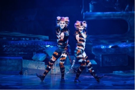 CATS the musical