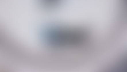 Things to do in Abu Dhabi 