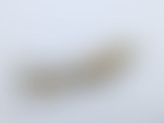 Etihad Airways launches Winter Sale and you can get up to 30% off fares