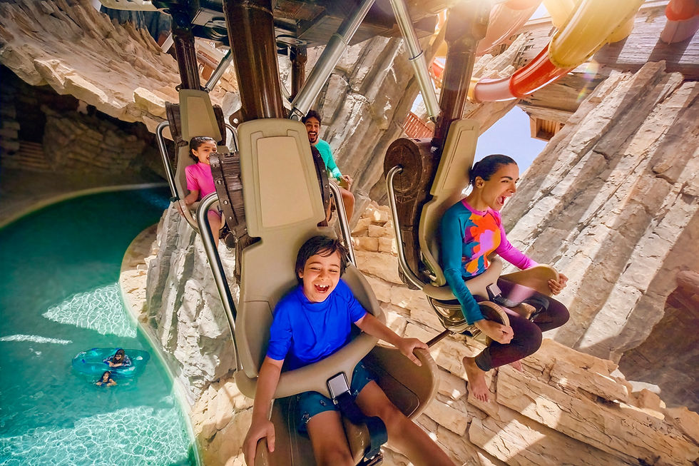 Family on a water ride