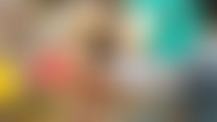 All you need to know about Taste of Abu Dhabi 2025 | Things to do in Abu Dhabi