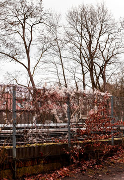 2637EDCD-EBF2-4C18-8549-F82D30E67E93