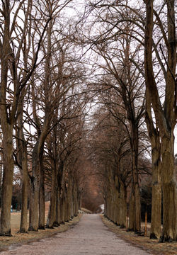 EEB1A152-F3C2-4E3B-8D05-64C1E673B6FF