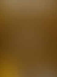 土屋バレエワークスタジオ第９回ワークショップ