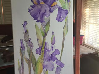 Iris in Bloom