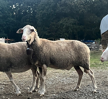 WhatsApp Image 2023-11-29 at 22.05.46.jpeg