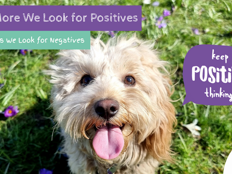 Switching Your Mindset