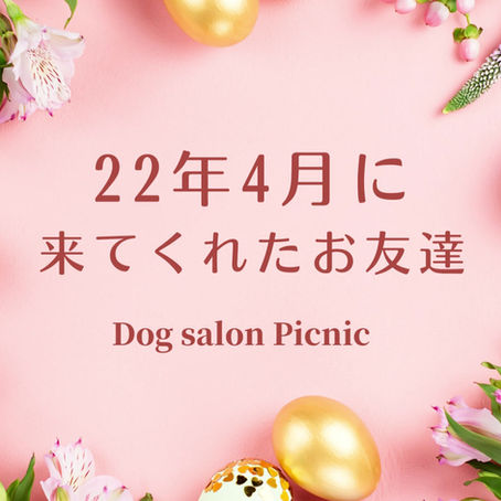 22年4月に来てくれたお友達