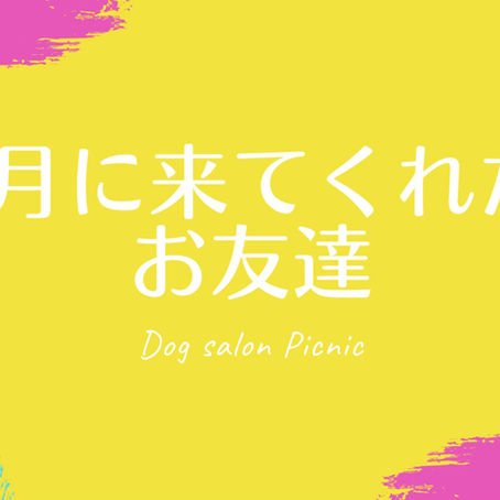 22年5月に来てくれたお友達