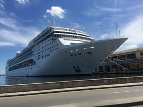 ¡Nos vamos de crucero!
