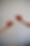 BEHIND LOGO.PNG