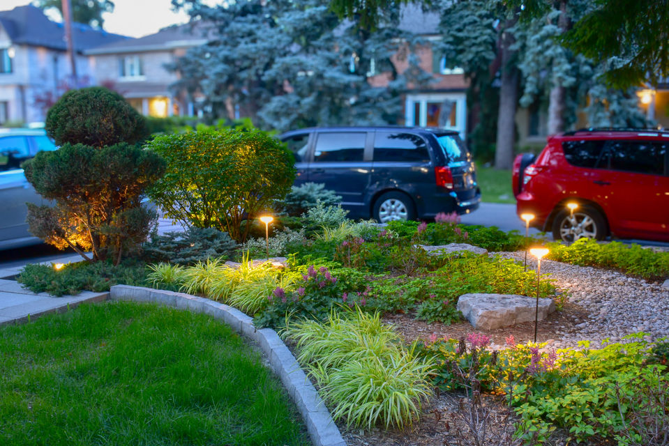 An evening view of a landscaped garden with a focus on manicured shrub illuminated by outdoor lights. A large tree provides shade, with other greenery and grasses surrounding the scene and small boulders placed throughout. Houses and trees visible in the soft lit background.