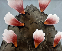 Curating, Charlotte Norwood. Mountain on Fire, Victoria Iranzo, 2025.