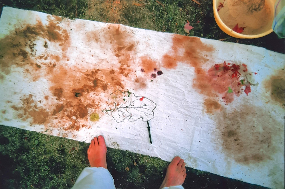 Drawing the earth Abol Stream 2004